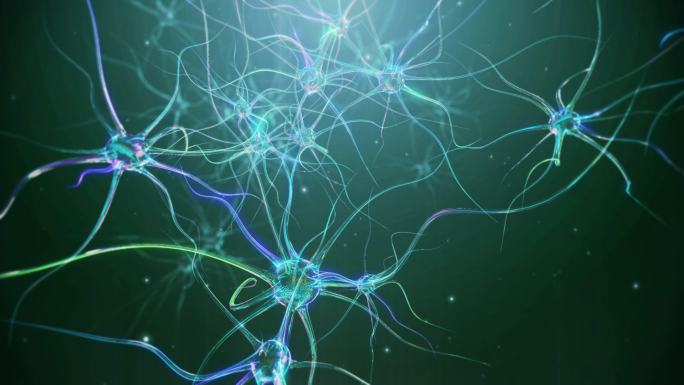 神经元细胞脑神经触突光感受器