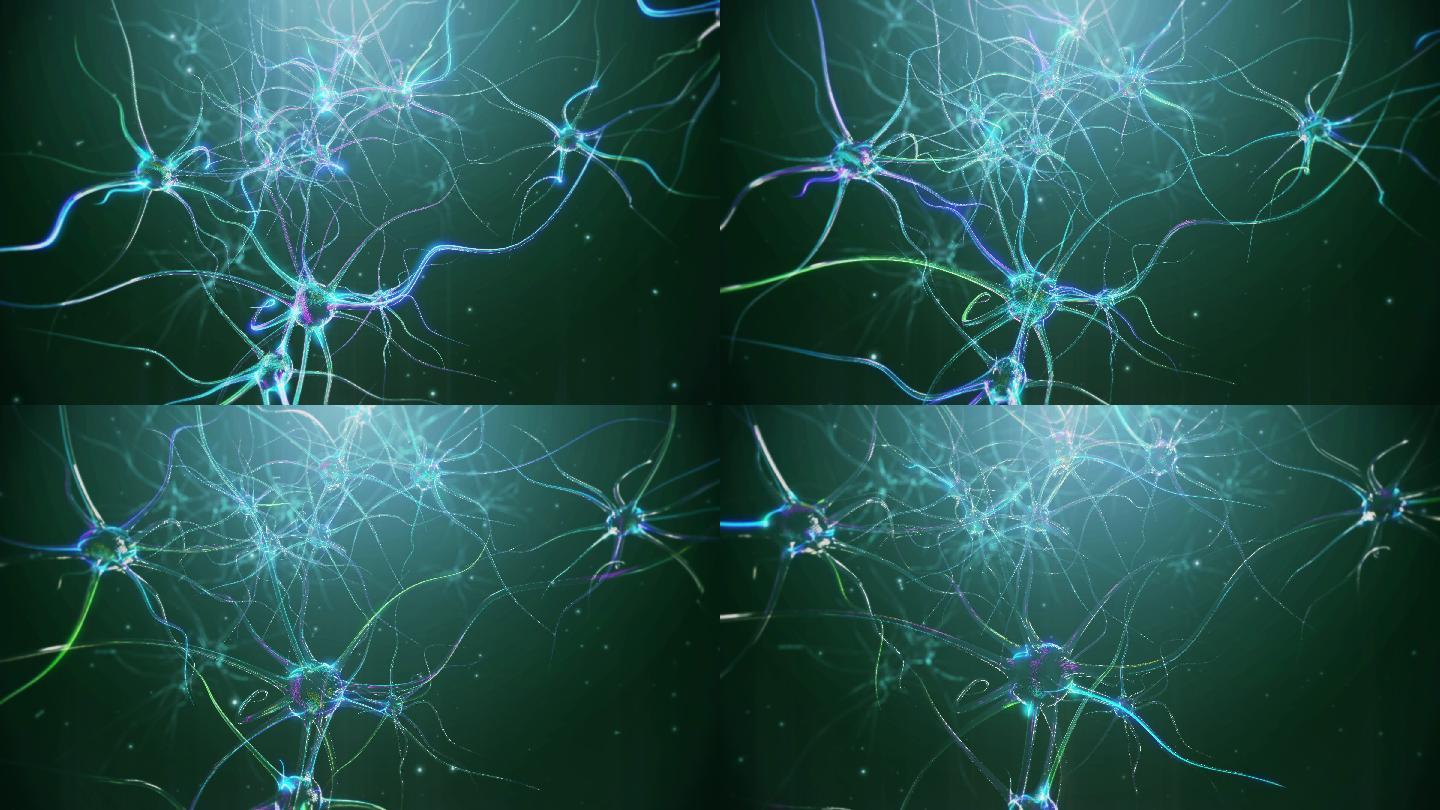 神经元细胞脑神经触突光感受器