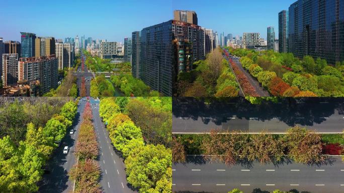 航拍城市道路富春路樱花大道4K