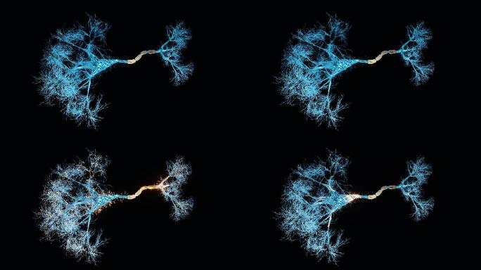 神经元全息图特效视频人类组织科技