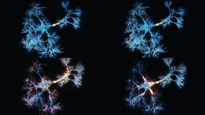 神经元全息图特效视频