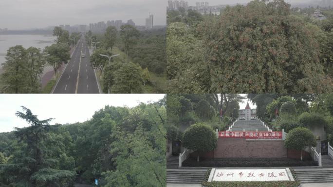 泸州张坝桂圆忠山公园实拍灰度4K
