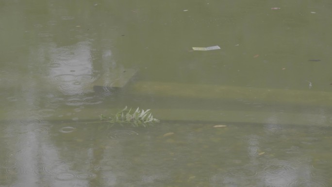 Slog3｜池塘里的小雨点