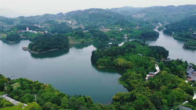 青山绿水红枫植物园