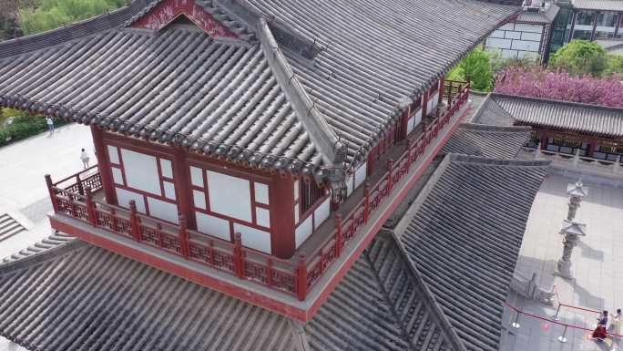 航拍青龙寺古建筑