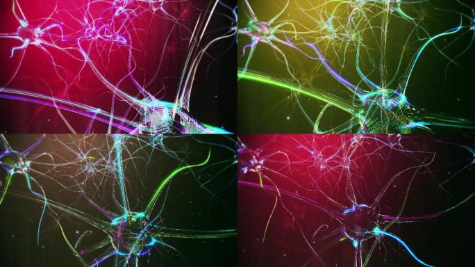 神经元细胞特效视频