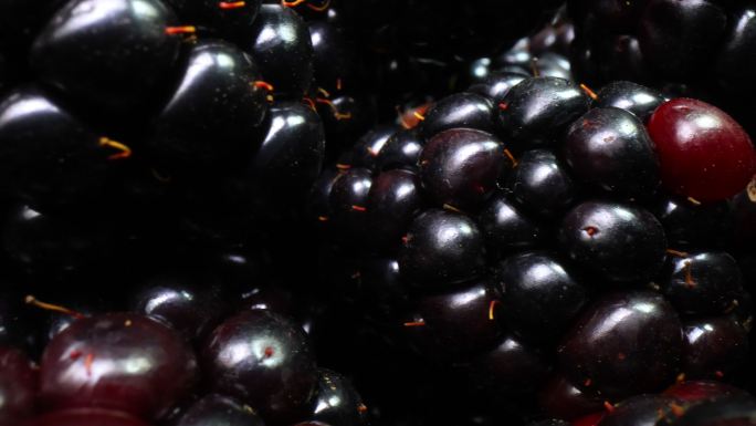 黑莓特写平移新鲜水润展示特色农产品
