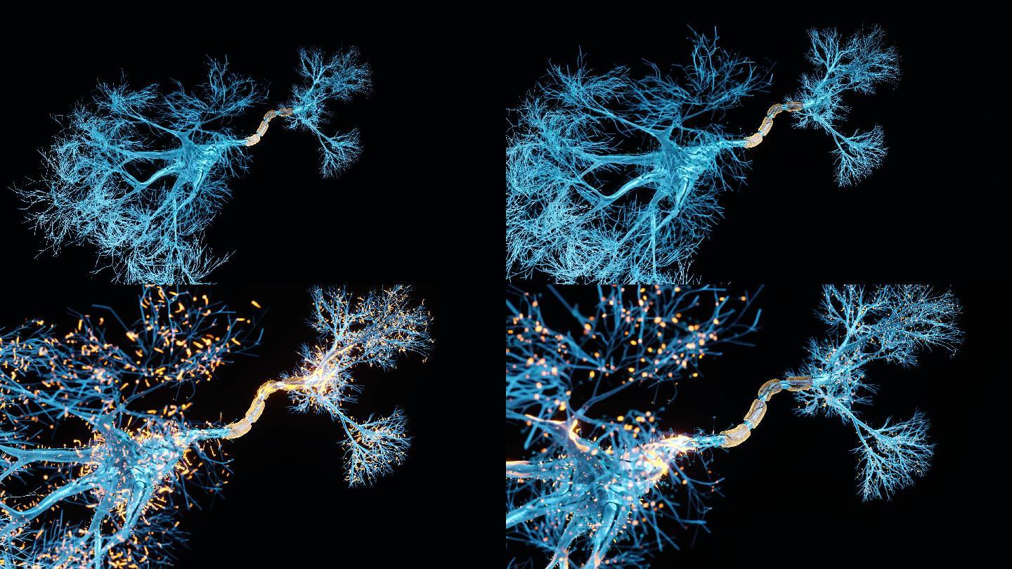 神经元全息图电流刺激中枢大脑