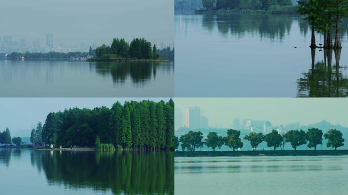 飞鸟 生态 绿水 青山 江河 湖海