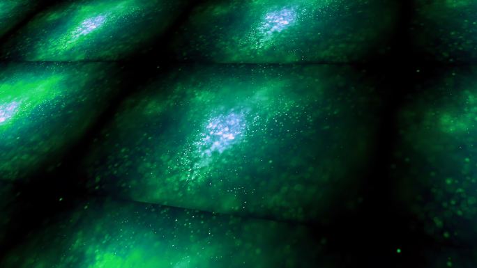 绿色斑点图案背景特效动画合成元素光效