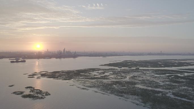 日出时的湿地