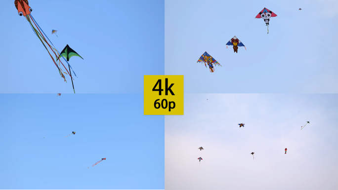 【4k超清】蓝天中多种多样风筝