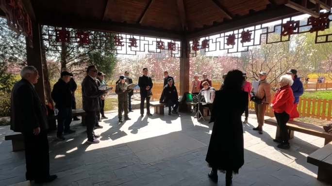 北京公园里老年合唱团在排练