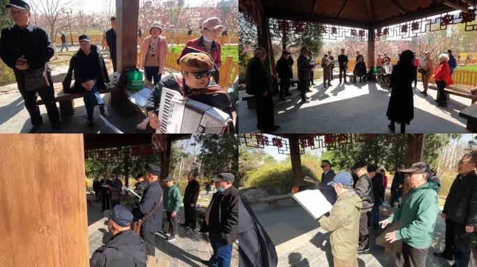 北京公园里老年合唱团在排练