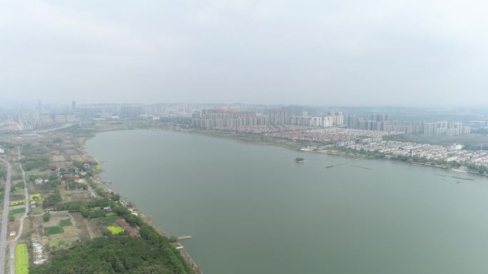 荆门凤凰湖湿地公园全景航拍