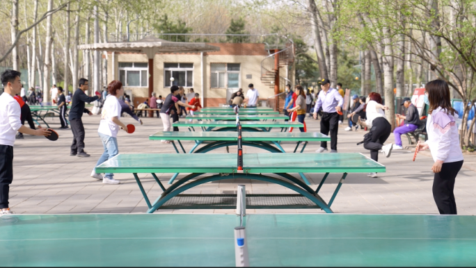 男女老少 公园 打乒乓球 合集