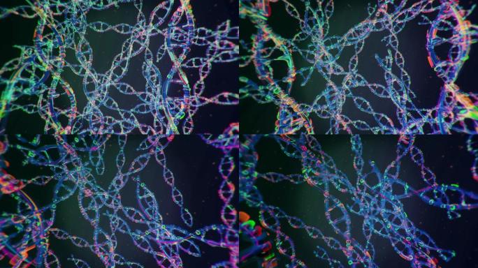 DNA分子结构基因细胞生物学身体免疫系统