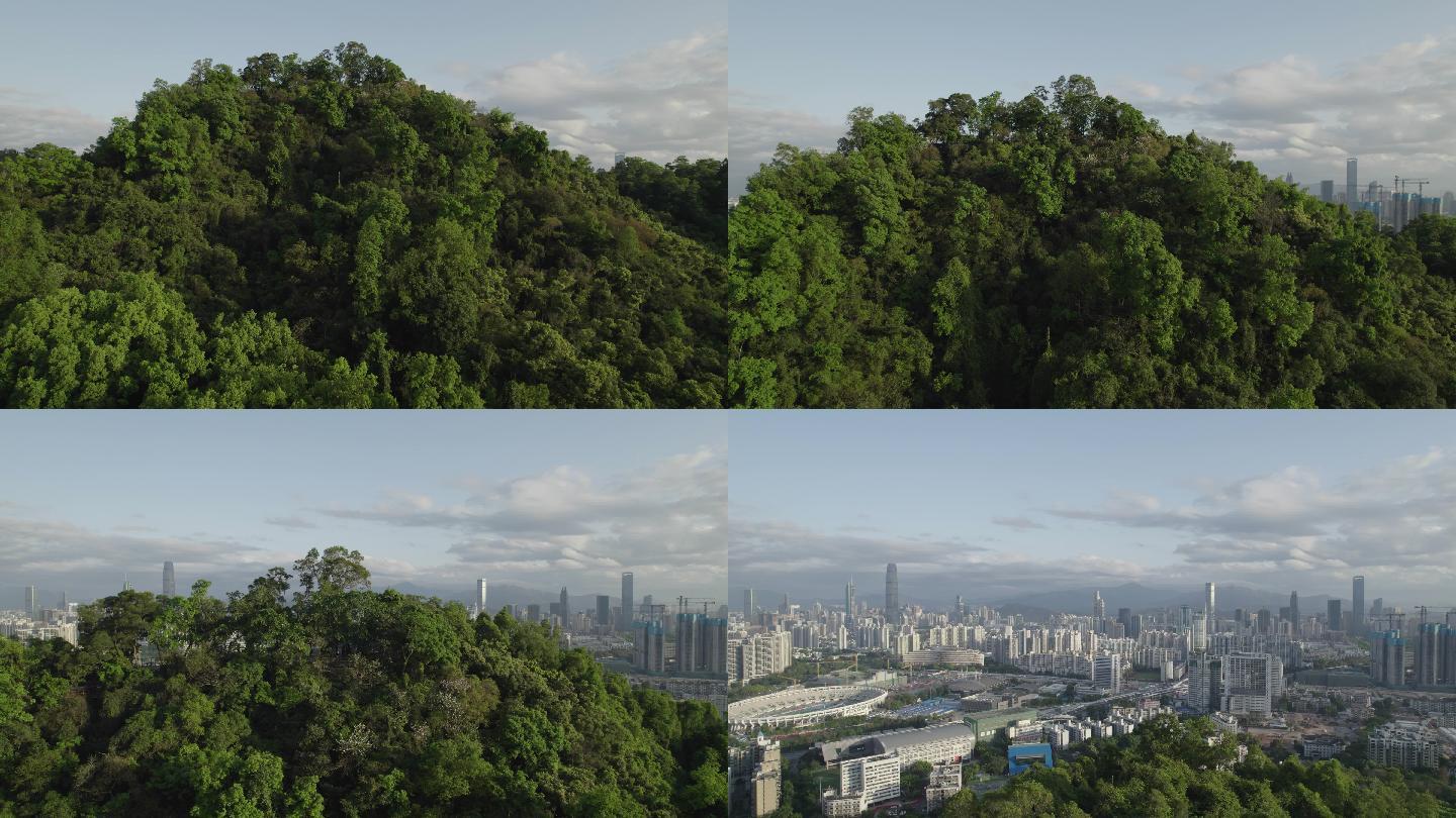 2022 从森林到城市 深圳 笔架山