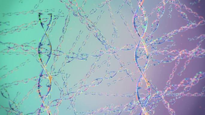 DNA分子结构遗传物质信息工程变异重组