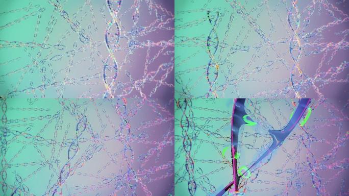 DNA分子结构遗传物质信息工程变异重组