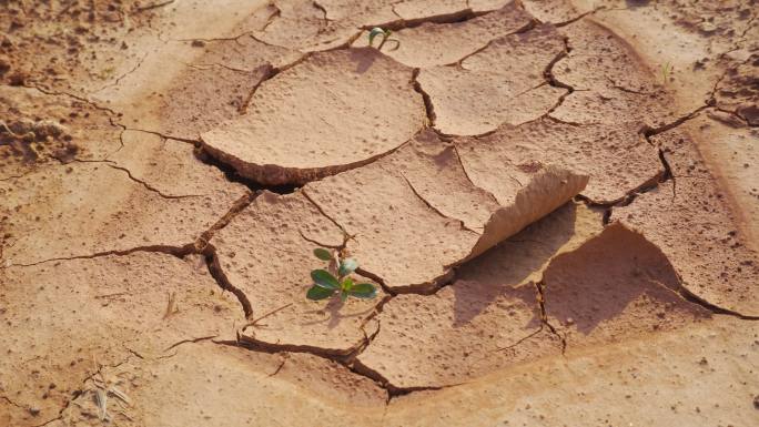 土地干旱、河水干涸