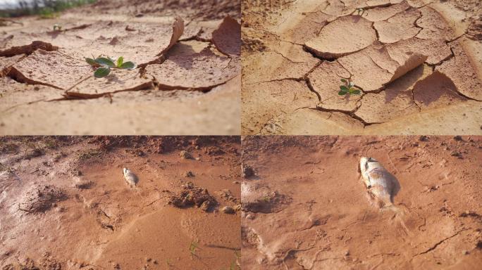 土地干旱、河水干涸