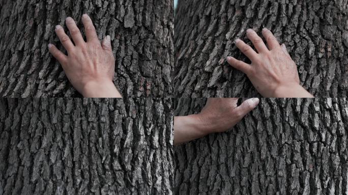 手触摸树皮