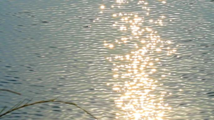 唯美升格金色湖面水波一闪一闪超清晰素材