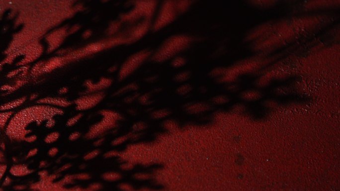 暗红色表面上看起来邪恶的移动阴影