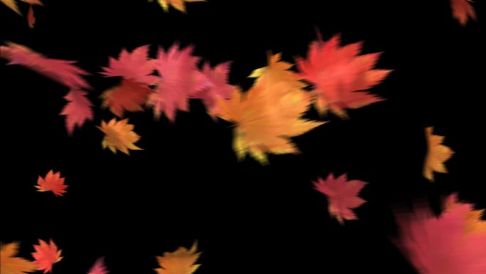 叶子枫叶飘落通道包装素材秋风落叶飘落特效