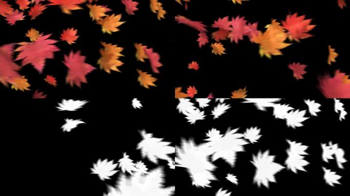 叶子枫叶飘落通道包装素材秋风落叶飘落特效
