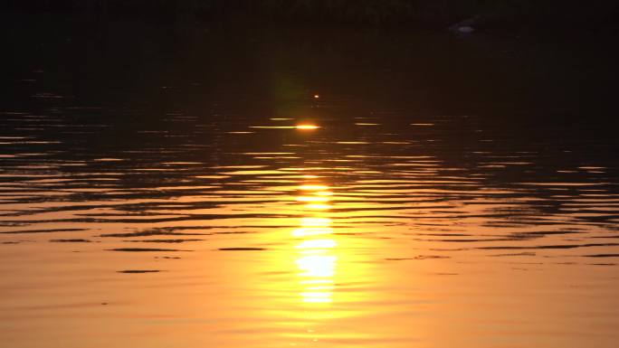 城市露营 周末节假日 傍晚夕阳下