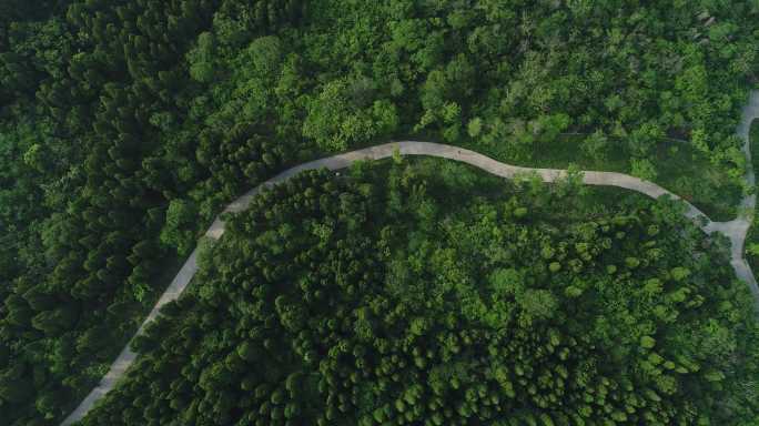 航拍山中小区森林公路4K