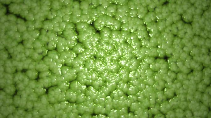抽象绿色湿粘液动画