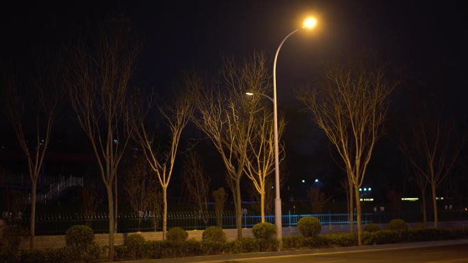 路灯 夜晚街边路灯 城市照明