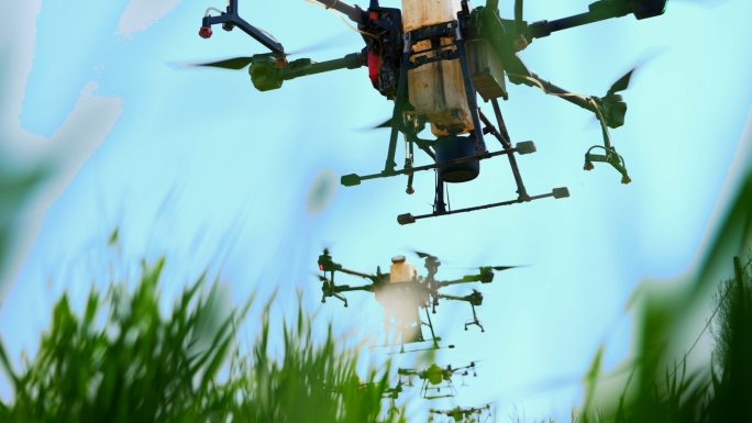 【4K】无人机机植 小麦打药