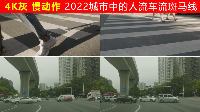 2022城市中的人流车流斑马线