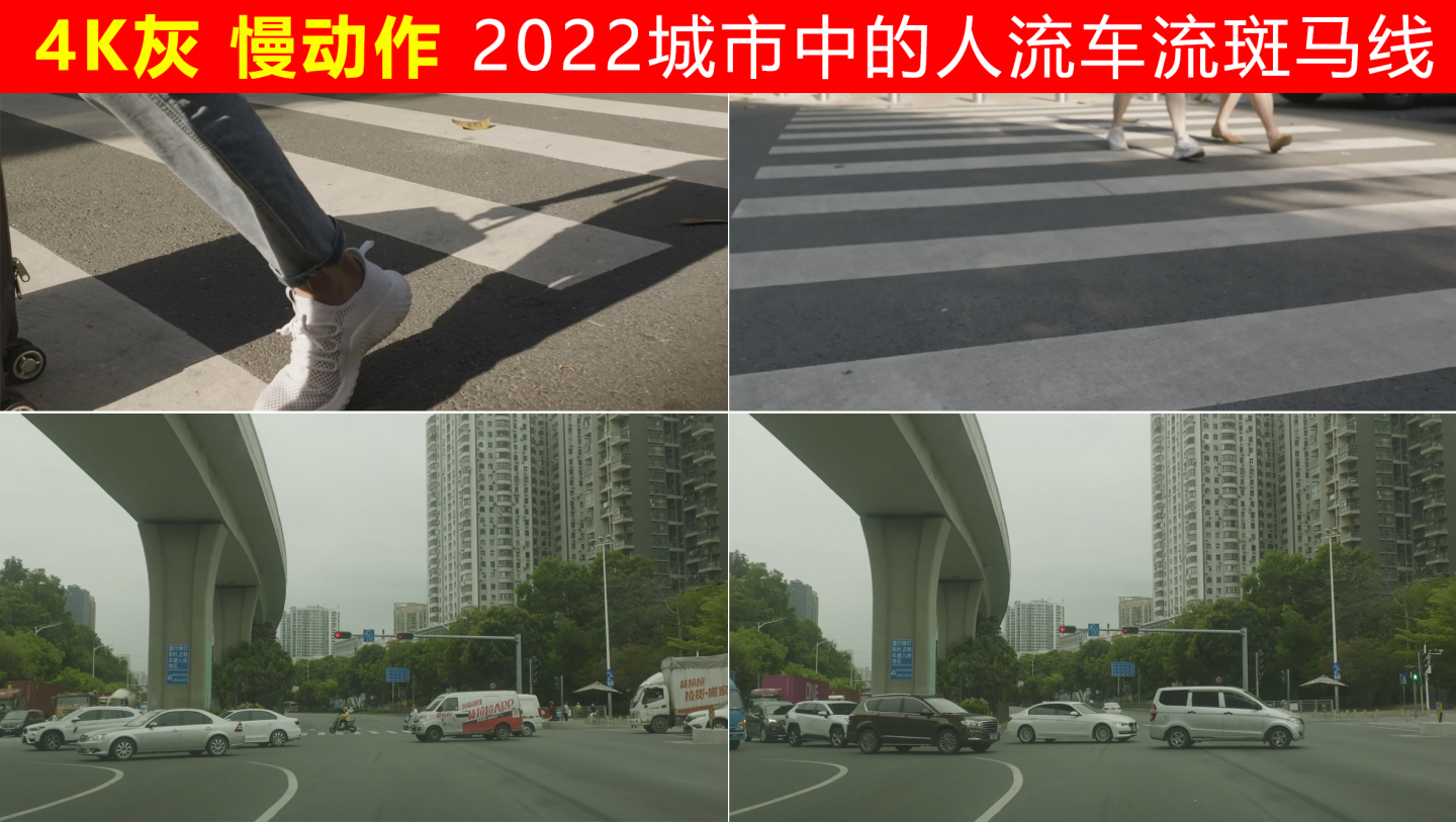 2022城市中的人流车流斑马线