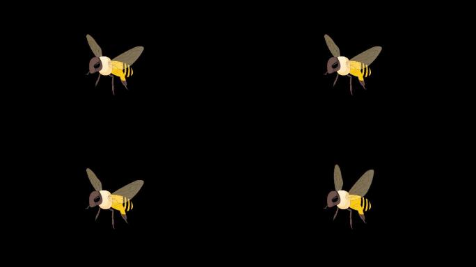 带透明通道的蜜蜂