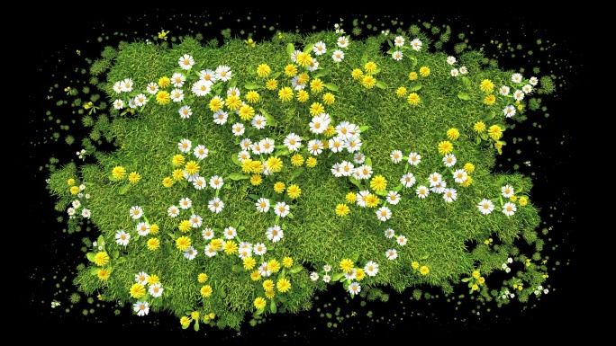 草和花覆盖着屏幕和消失的动画