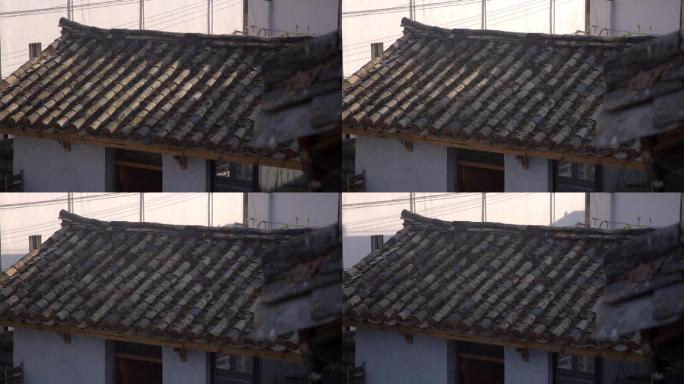 农村老房瓦片屋顶延时