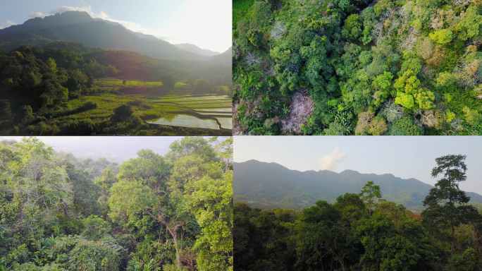 海南吊罗山国家森林热带雨林航拍