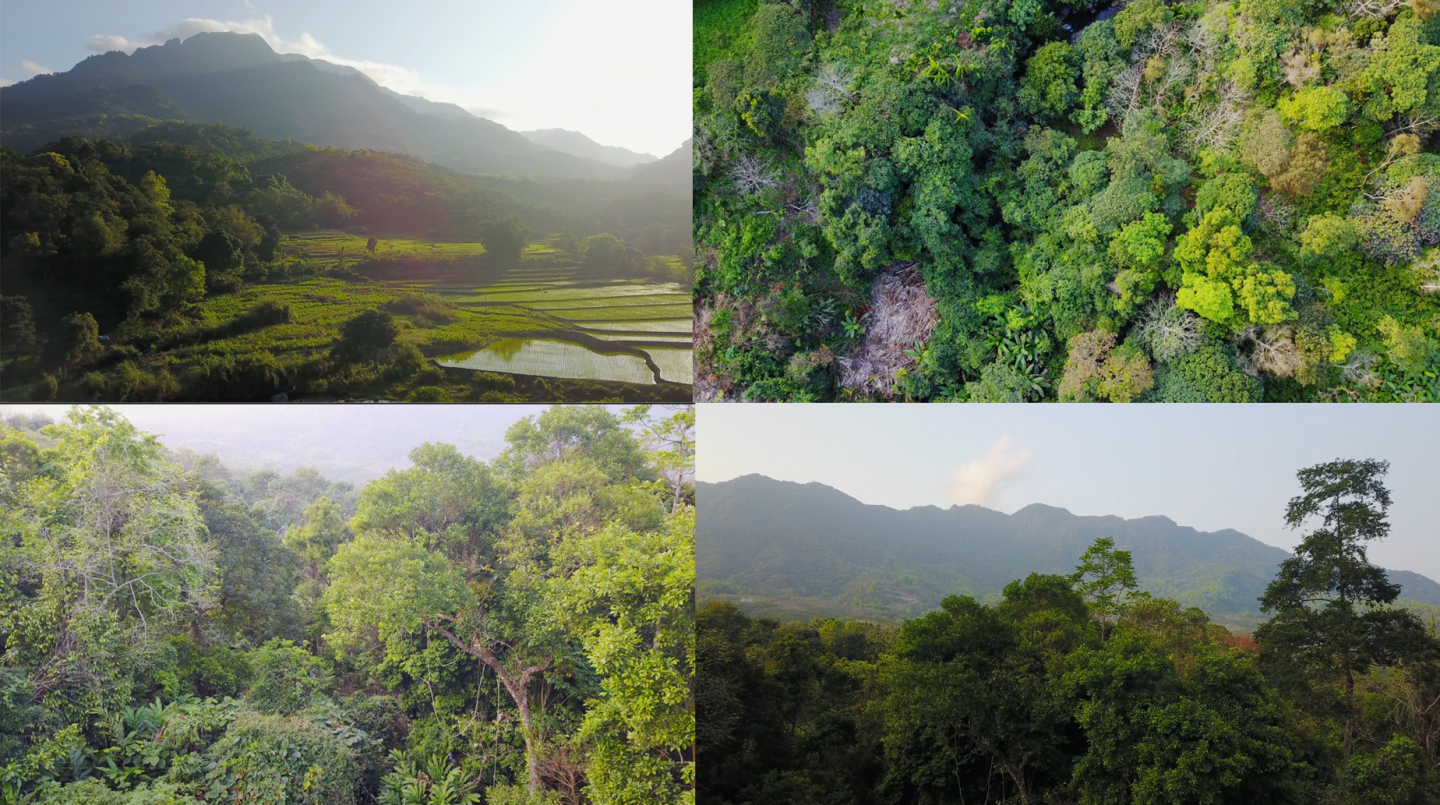 海南吊罗山国家森林热带雨林航拍