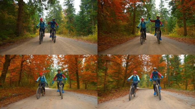 骑山地自行车穿越森林时，一对男女握手