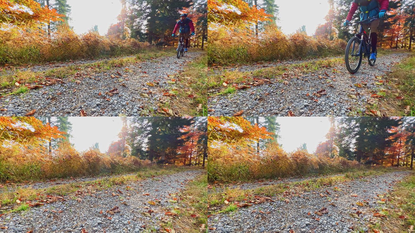 男子山地车手骑行在秋天的森林里