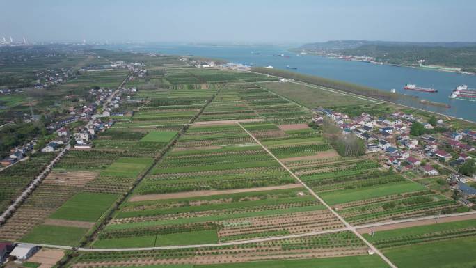 航拍长江岸边乡村田园