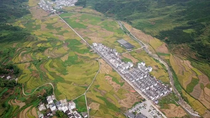 婺源篁岭航拍山峰稻田房屋缆车意境C003