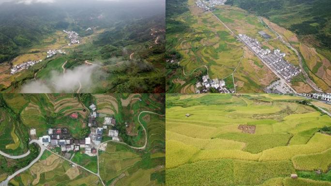 婺源篁岭航拍山峰稻田房屋缆车意境C003