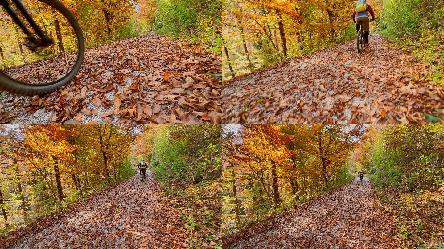 男子骑着山地车穿过秋天的森林