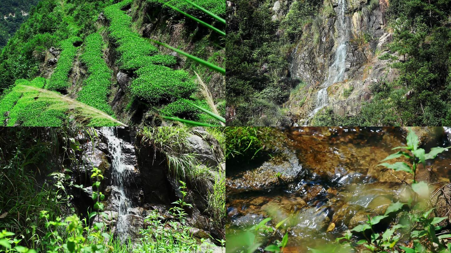 高清生态茶山茶园瀑布流水